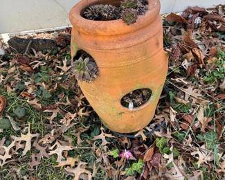 Terracotta Strawberry Pot Planter