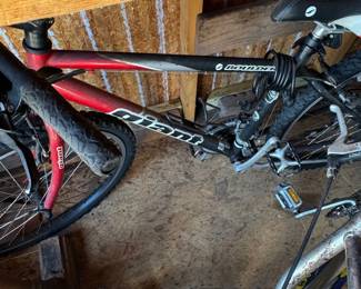 Giant Boulder SE Mountain Bike