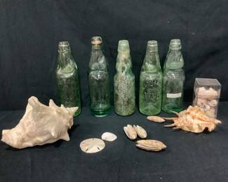 Codd Bottles And Seashells