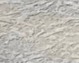 5'x7' rug White patterned rug $60 and $35