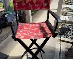 Director Chair canvas back and bottom