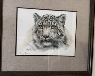 Framed & Matted Snow Leopard Print by Charles Frace
