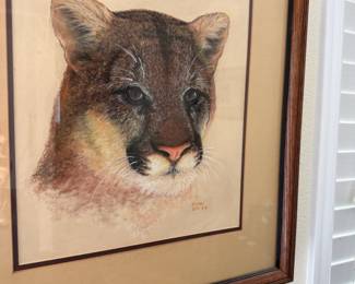 Framed & Matted Cougar Drawing by Coral Sycks
