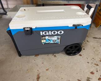 Igloo Cooler 