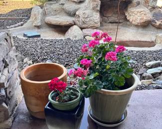 Garden Pots With Plants