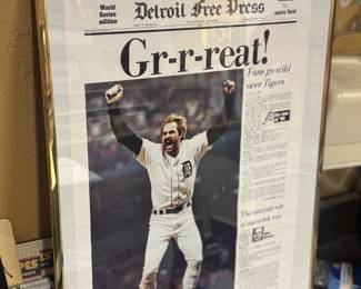 Framed Detroit Tigers