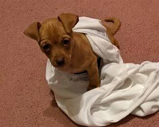 More Pictures to come soon!!!