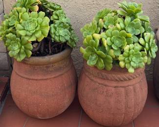 Terra-cotta planters with succulents
