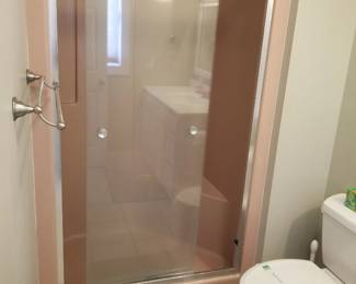 Glass shower doors