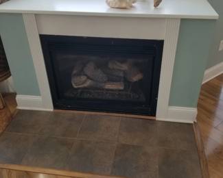Fireplace insert