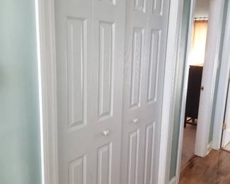 6-panel closet doors