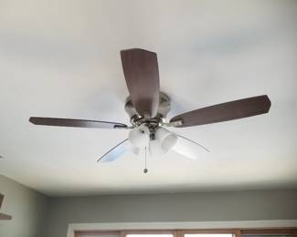 Lighted ceiling fan