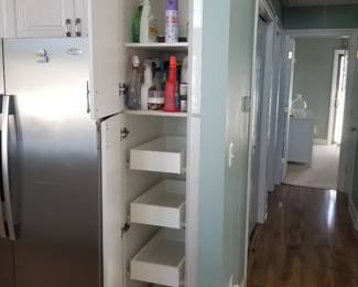 Pantry has pull out shelves