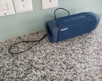 Sony portable speaker