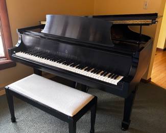 Beautiful Steinway grand piano