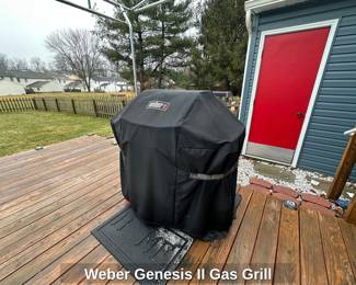 Weber Genesis II Gas Grill
