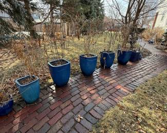 Cobalt Blue Ceramic Planters Set of 5