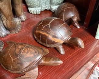 Wood turtles