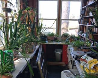 Sunroom fills with plants