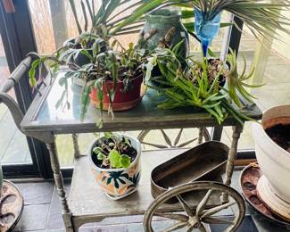 A vintage cart with plants