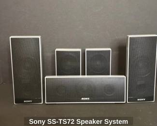 Sony SSTS Speaker System