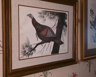 Eastern wild turkey art by John Ruthven