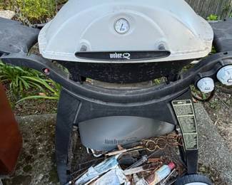Weber Q Portable Propane Grill