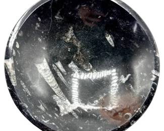Large Orthoceras Fossil Bowl / Decorative Dish – Polished Fossil Stone – Approx. 11" Diameter
