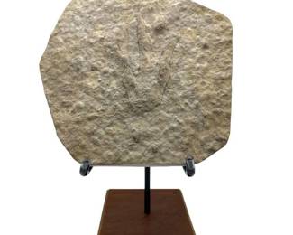 Coelophysis Dinosaur Footprint Fossil; France – Approx. 9 in Track Display w/ Stand

