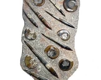 Very Large Decorative Fossil Slab Featuring Orthoceras & Ammonites x Built-in Stand; Morocco – Approx. 4 ft Display Piece (*Edina Location Pick-up)
