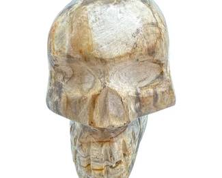 Hand Carved Petrified Wood Skull - 7" Long
