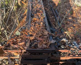 Entire collection of acorn rot iron