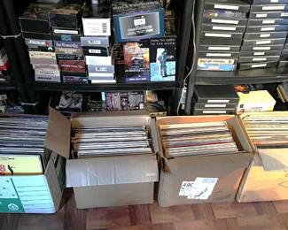 These four boxes contain the LP collection.  The next picture shows one title, but you'll need to visit the sale to see what other treasures are here.