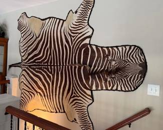 Genuine Large Zebra Skin rug