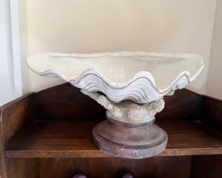 Large seashell on coral stand