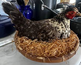 Chicken in a basket
