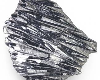 Large Orthoceras Fossil Specimen Slab With Stand