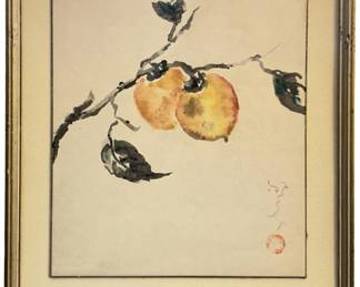 Signed Asian Persimmons Branch Watercolor