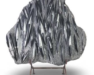 Large Orthoceras Fossil Plaque W/Stand