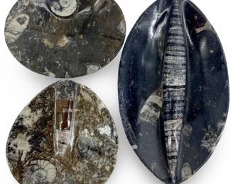 3pc Orthoceras Fossil Dishes