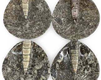 4pc Orthoceras Fossil Teardrop Dishes