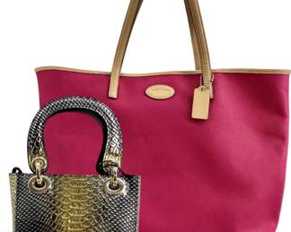 2pc Genuine Leather Coach and Bravo Handbags