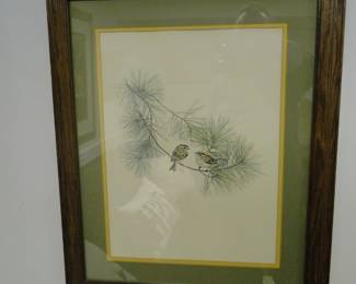 Two cute birds on a pine bough framed art print