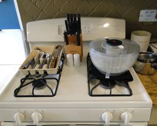 Salad spinner