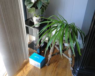 ITS ALIVE!!!!!! Yes we have a few plants to brighten up your home