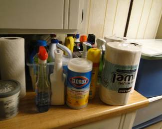 Cleaning and home necessities 