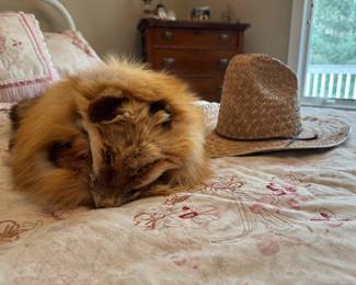Fox fur hat