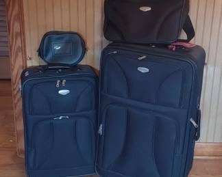 Protocol luggage set