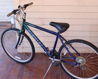 Nishiki 10 speed Bicycle