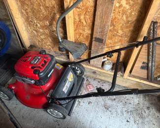 Briggs & Stratton Gas Mower